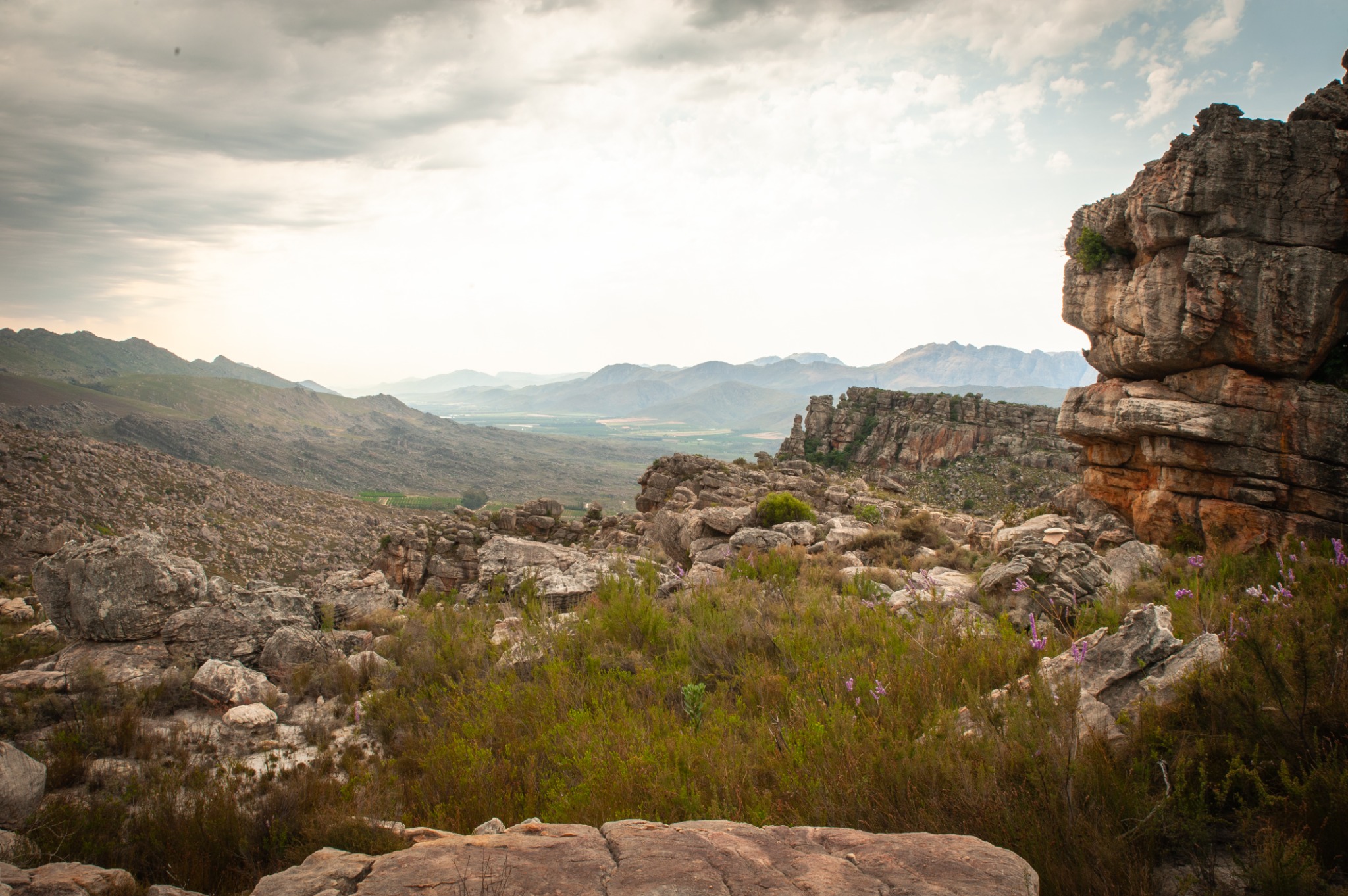 Cederberg mountain landscape in South Africa, the origin setting for Khoa Rooibos