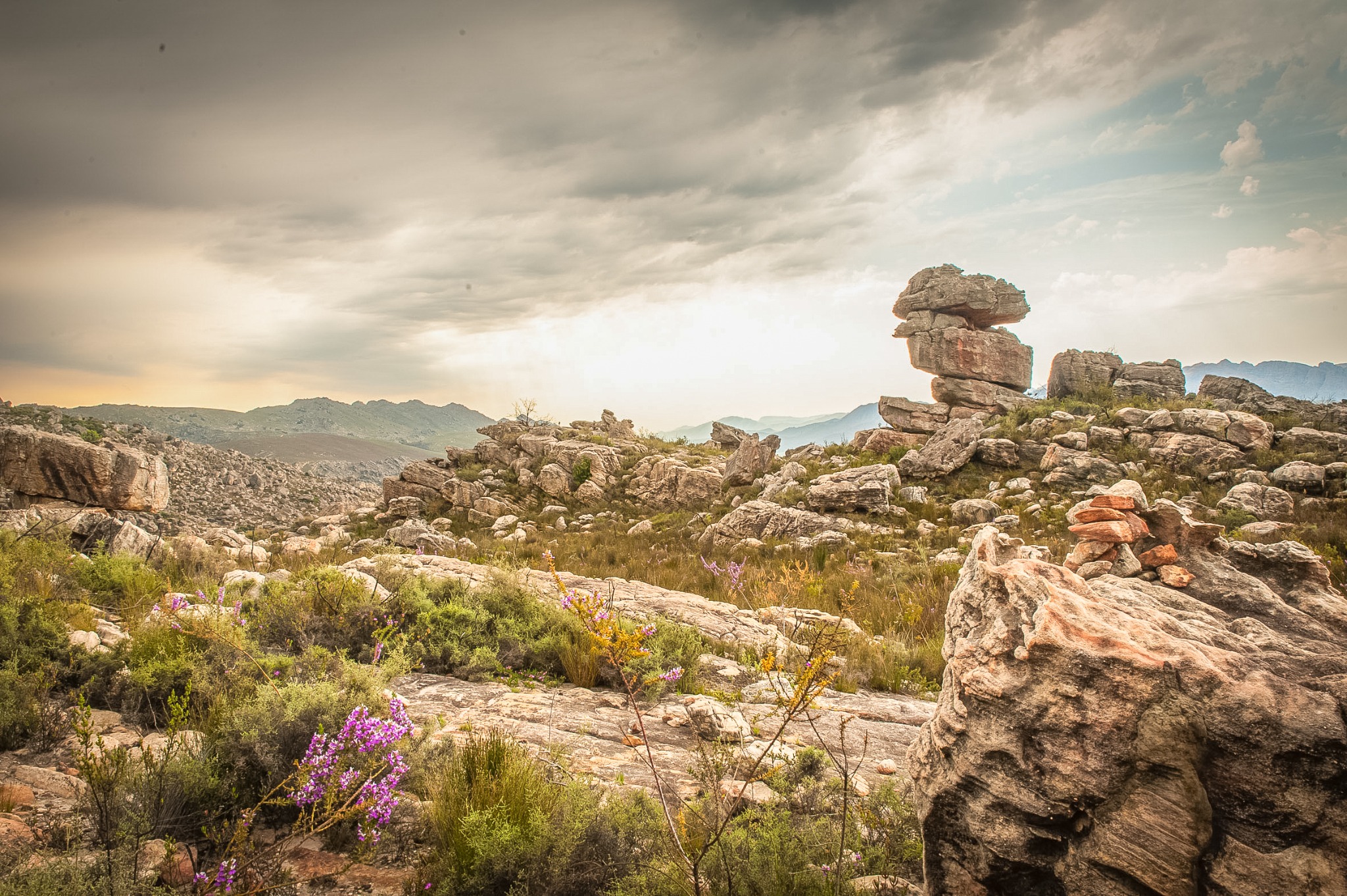 Cederberg mountain landscape and fynbos representing the South African origin of the Khoa Rooibos range